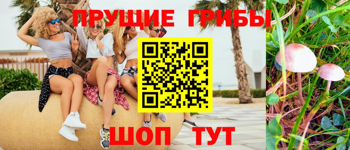 Павловский Посад  Галлюциногенные грибы GOLDEN TEACHER  купить наркотик  Вход с VPN  Галлюциногенные грибы Psilocybe 